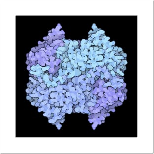 Lactate Dehydrogenase protein structure Posters and Art